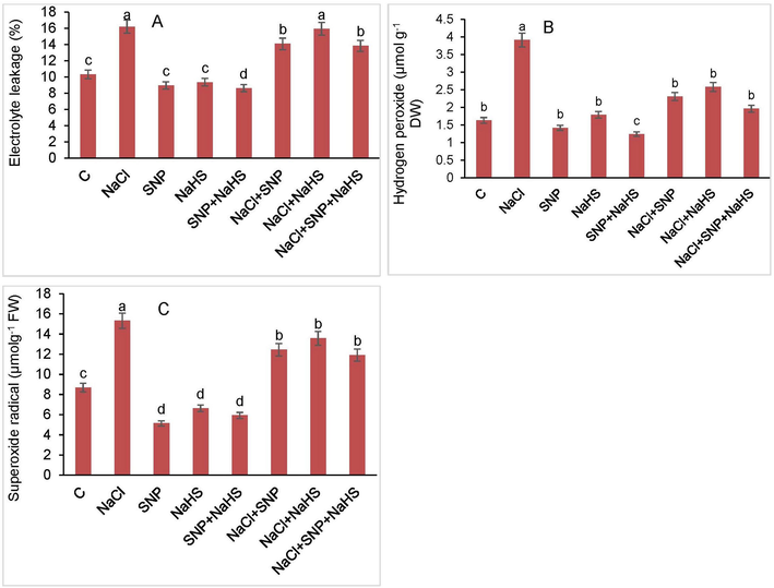 (A). Electrolyte leakage (B) hydrogen peroxide (C) superoxide levels in Coriandrum sativum L. under salt stress with and without SNP and NaHS [SNP = 50 µM and NaHS = 50 µM concentrations]. The vertical data bars indicate mean ± SE of 3 replicates from three independent experiments. Different letters on the bars indicate difference among treatment at P < 0.05 significant level as per ANOVA and DMRT.