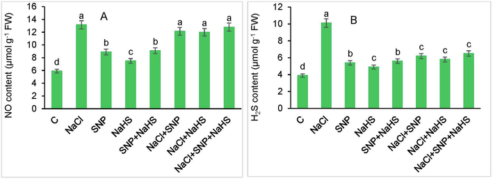 Contents of (A) nitric oxide (NO) and (B) hydrogen sulfide (H2S) in Coriandrum sativum L. exposed to NaCl treatment with and without SNP and NaHS [SNP = 50 µM and NaHS = 50 µM concentrations].The vertical data bars indicate mean ± SE of 3 replicates from 3 independent experiments. Different letters on the bars reflect difference among treatment at P < 0.05 significant level as per ANOVA and DMRT.