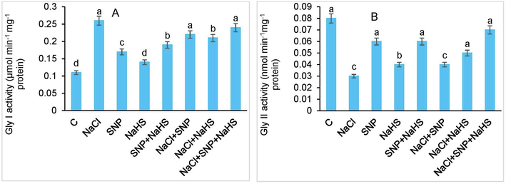 Activities of (A) glyoxalase I and (B) glyoxalase II in Coriandrum sativum L. exposed to NaCl treatment with and without SNP and NaHS [SNP = 50 µM and NaHS = 50 µM concentrations]. Vertical bars show mean ± SE of 3 replicates from three independent experiments. Different letters on the bars indicate difference among treatment at P < 0.05 significant level as per ANOVA and DMRT.