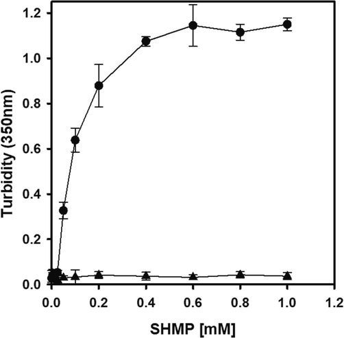 The effect of SHMP on trypsin solution turbidity at pH 6.0. The turbidity of the trypsin solution (8.3 μM) was measured at 350 nm in the presence of 0–1000 µM SHMP (●). The turbidity of the control samples (0–1000 µM SHMP) without trypsin is shown in (▲).