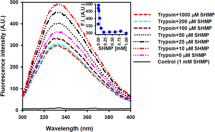 The effect of SHMP on trypsin's tertiary structure. Trypsin intrinsic fluorescence spectra was measured at pH 6.0 in the presence of 0–1000 µM SHMP. In all measurements, the trypsin concentration was 8.3 μM. The fluorescence spectra of the control sample (1000 M SHMP without trypsin) displayed as a solid black line.