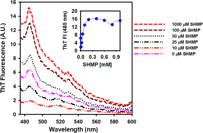 The effect of SHMP on the trypsin ThT fluorescence at pH 6.0. In all experiments, 10 µM ThT was added to the SHMP-treated trypsin samples, the samples were excited at 440 nm and the data was recorded between 450 and 600 nm, with the ex and em slits set to 5 nm.