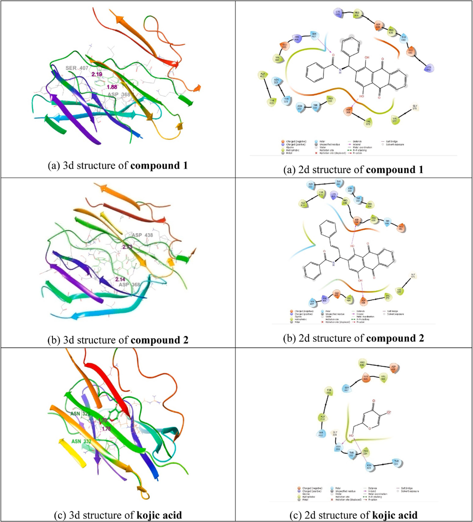 (a) Molecular docking study of Compound 1, (b) Compound 2, and (c) Kojic acid with 2Y9X protein (2d and 3d interaction structures).