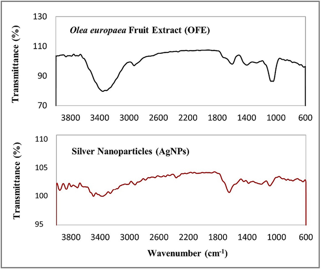 FTIR spectra of biosynthesized AgNPs and OFE.