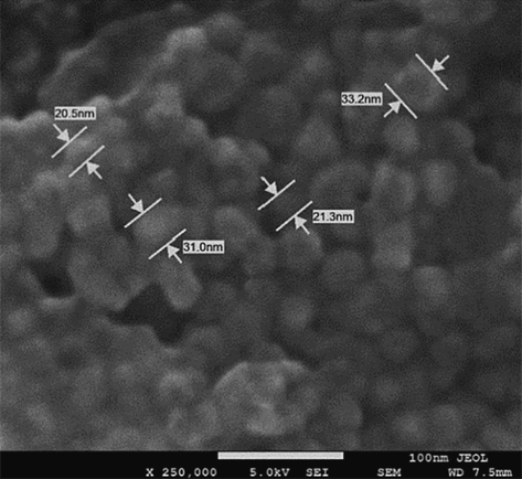 FESEM image of biosynthesized AgNPs.