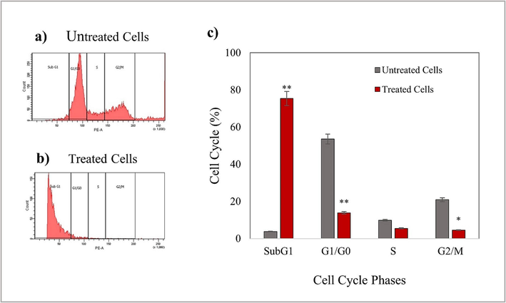 Cell cycle analysis in T47D cells exposed to 200 µg/mL AgNP-OFE for 24 h. Results are represented as mean ± standard deviation. Data are statistically significant with *p < 0.05, when compared with control.