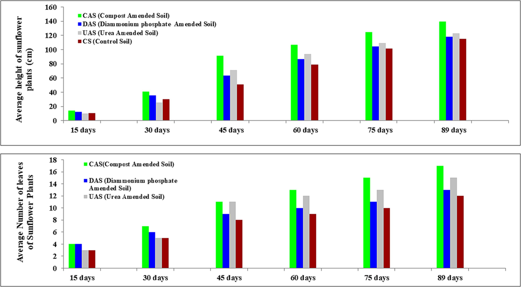 Comparative influence of different soil treatments on the phyto-morphological aspects of sunflower.