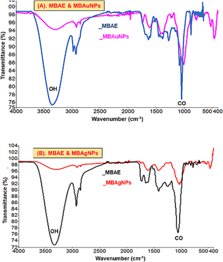 FT-IR spectra of (A) MBAE and MBAuNPs, and (B) MBAE and MBAgNPs.