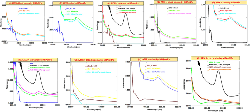 Successive UV–Vis absorption spectra of MBAuNPs interaction with (A-C) LFX (D-F) AMX, and (G-I) AZM in in blood, urine and water.