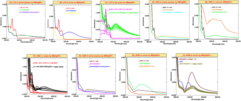 Successive UV–Vis absorption spectra of MBAgNPs interaction with (A-C) LFX (D-F) AMX, and (G-I) AZM in in blood, urine and water.