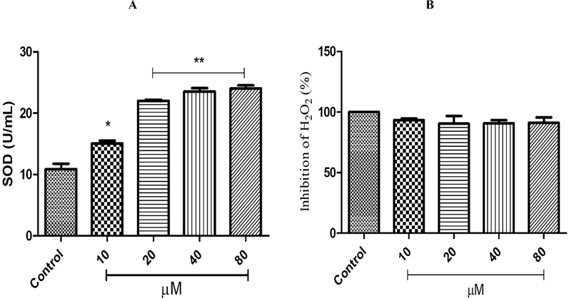 Effect of GP13 peptide on (A) SOD and (B) CAT activity in L6 cell line. The peptide treatment in L6 cell line showed a dose-dependent increase in enzyme activity. Data were expressed as mean ± SD of three independent experiments. * denotes p < 0.05 and ** denotes p < 0.01 as compared to the control.