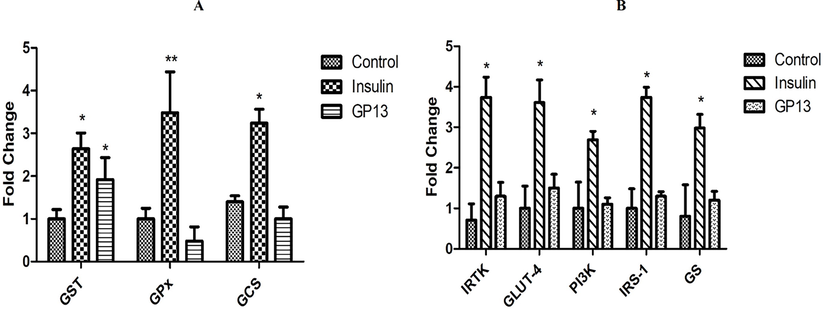 Effect of GP13 (40 µM) on the mRNA expression of genes implicated in the insulin signalling cascade and antioxidant genes. (A) Effect of GP13 on the mRNA expression of GST, GPx, and GCS. (B) Effect of GP13 on mRNA expression of IRTK, GLUT-4, PI3K, IRS‐1 and GS. *p < 0.05 as compared to the control.