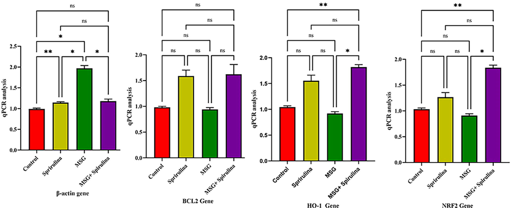 Anova analysis revealed the significant association between β-actin, BCL2, HO-I and NRF2 genes in 4 groups of rats.