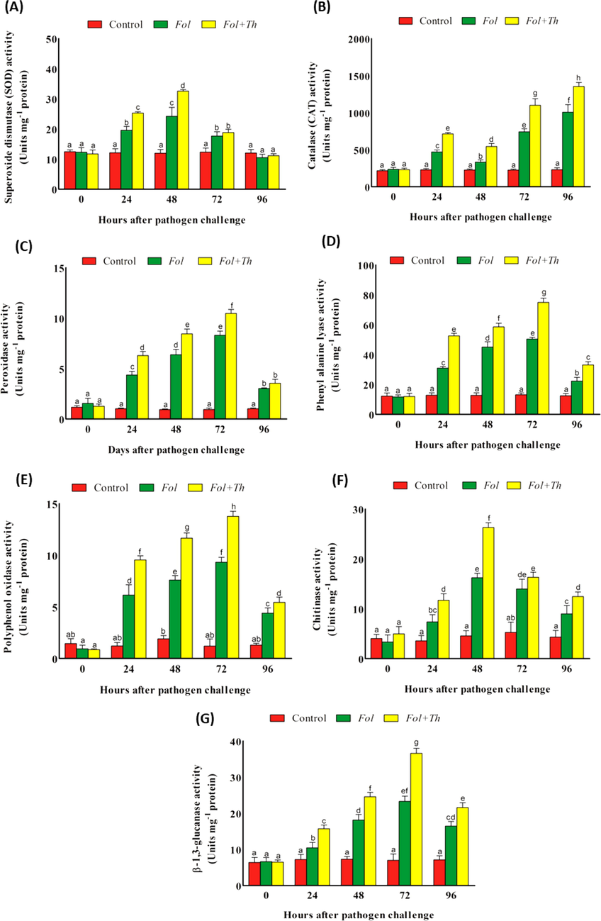 Estimation of changes in the activities of (A) SOD, (B) CAT, (C) PO, (D) PAL, (E) PPO, (F) Chitinase and (G) β-1,3-Glucanase in the leaves of tomato plants pre-treated with T. harzianum, after challenge inoculation with F. oxysporum f. sp. lycopersici (Fol).