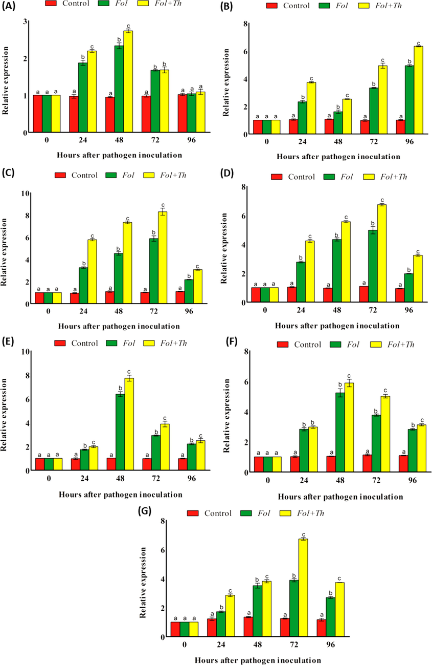 Relative expression of different antioxidant enzyme genes (A) SOD, (B) CAT, (C) PO, (D) PAL, (E) PPO, (F) PR-3 and (G) PR-2 in the leaves of tomato plants pre-treated with T. harzianum, after challenge inoculation with F. oxysporum f. sp. lycopersici (Fol).