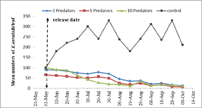Mean number of Eutetranychus orientalis after 3, 5 and 10 release of Euseius scutalis on seedling of mandarin in season 2021.