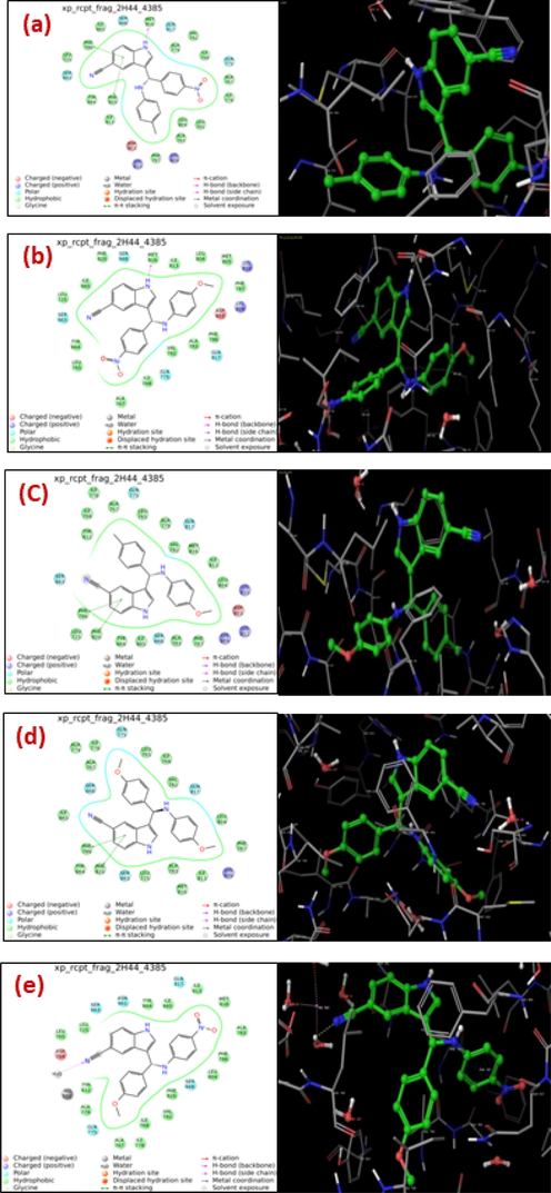 (a)-(e) Molecular docking structure of 2D (left side) and 3D (right side) of compounds (6–10).