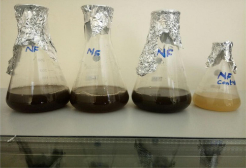 Synthesis of silver nanoparticles from carrot extract along with control.