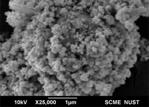 SEM analysis of carrot extract AgNPs collected from Sheikhupura.