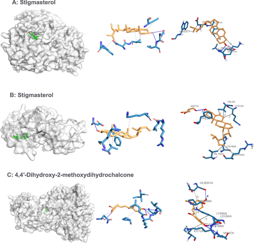 Binding poses of three top-ranked ligands at the binding site of RNA-directed RNA polymerase (PDB ID: 4V0Q), nonstructural protein 1(NS1) (PDB ID: 4O6B) and 3D and 2D interaction diagrams. (A) Stigmasterol − 4V0Q; (B) Stigmasterol 4O6B; and (C) 4,4′-Dihydroxy-2-methoxydihydrochalcone − 4V0Q.