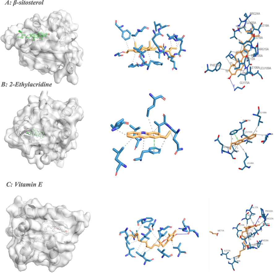 Binding poses of three top-ranked ligands at the binding site of sterol carrier protein-2 (PDB ID: 1PZ4 and PDB ID: 2QZT) and 3D and 2D interaction diagrams. (A) Stevioside-1PZ4; (B) 2-Ethylacridine −1PZ4; and (C) Vitamin E −2QZT.