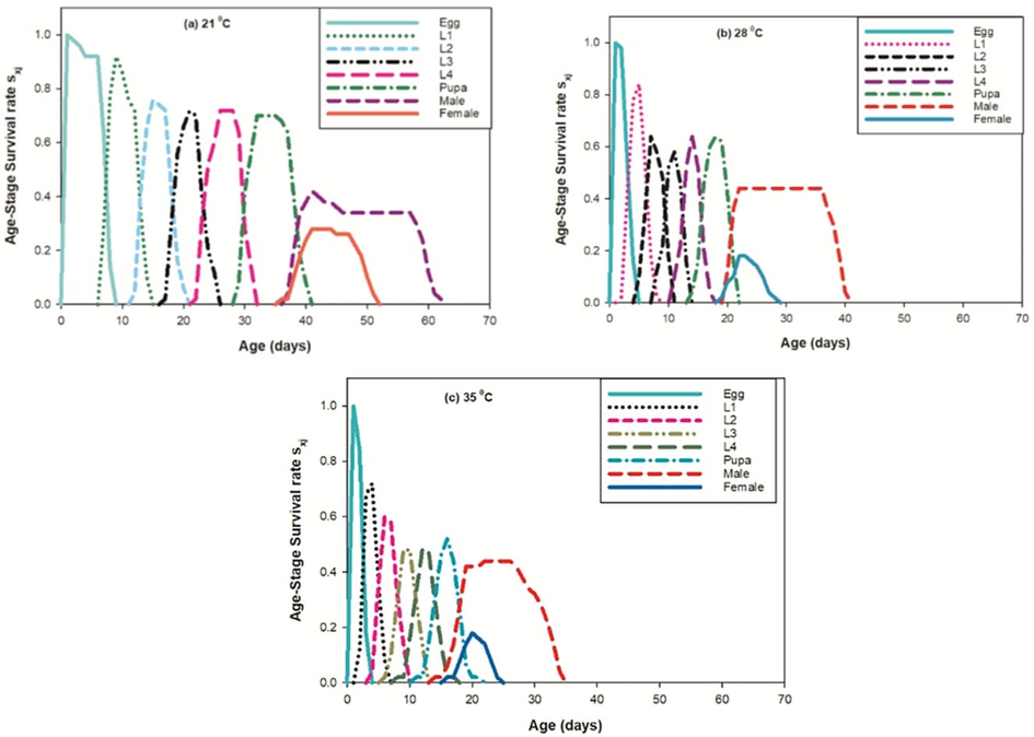 Effect of three different temperatures ((A) 21 °C, (B) 28 °C and (C) 35 °C) on the age stage- specific survival rate (sxj) of the P. gossypiella. L1 = First Instar, L2 = Second Instar, L3 = Third Instar, and L4 = Fourth Instar.