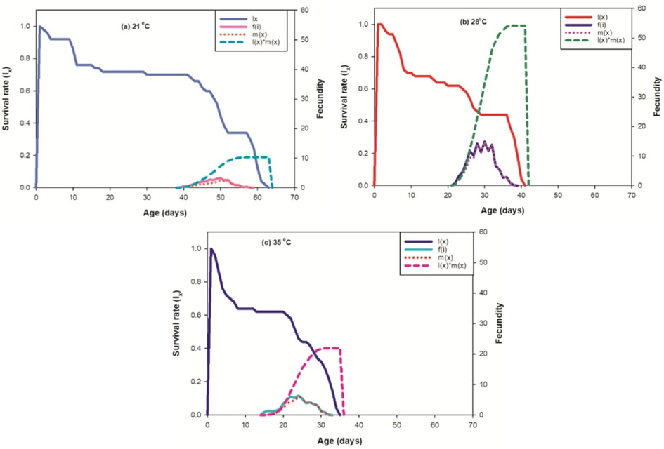 Effect of three different temperatures ((A) 21 °C, (B) 28 °C and (C) 35 °C) on the survival rate (lx), female age-specific fecundity (fx), age-specific fecundity (mx) and age specific maternity.