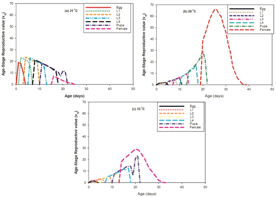 Effect of three different temperatures ((A) 21 °C, (B) 28 °C and (C) 35 °C) on the age-stage reproductive value (vxj) of the P. gossypiella. L1 = First Instar, L2 = Second Instar, L3 = Third Instar, and L4 = Fourth Instar.