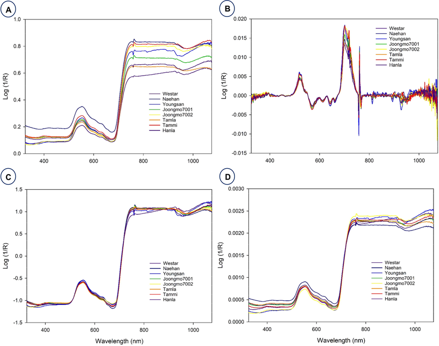 Average raw and preprocessed spectra of eight B. napus varieties. Average raw (A) and preprocessed with different preprocessing methods, namely Savitzky–Golay (B), standard normal variate (C), and normalization (D).