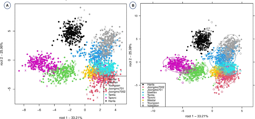 Linear discriminant analysis for the effective discrimination of eight B. napus varieties without confidence circles (A) and with confidence circles (B).