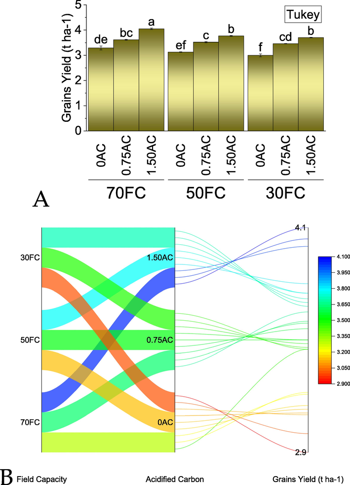 Effect of AC application rates on grains yield of maize leaves grown under normal, mild, and severe drought stress. Bars are means of 3 replicates ± SE. Variable letters on bars are showing significant changes (Tukey test; p ≤ 0.05). A parallel plot is showing the interaction of variables for grain yield of maize grown under normal, mild, and severe drought stress. The color scheme is showing the data range for grain yield affected by treatments (B). AC = acidified carbon; FC = Field capacity.