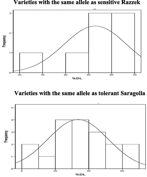 Frequency distribution of %DL in varieties with the same alleles as sensitive and tolerant parents at the nearest SSR marker locus gwm6.