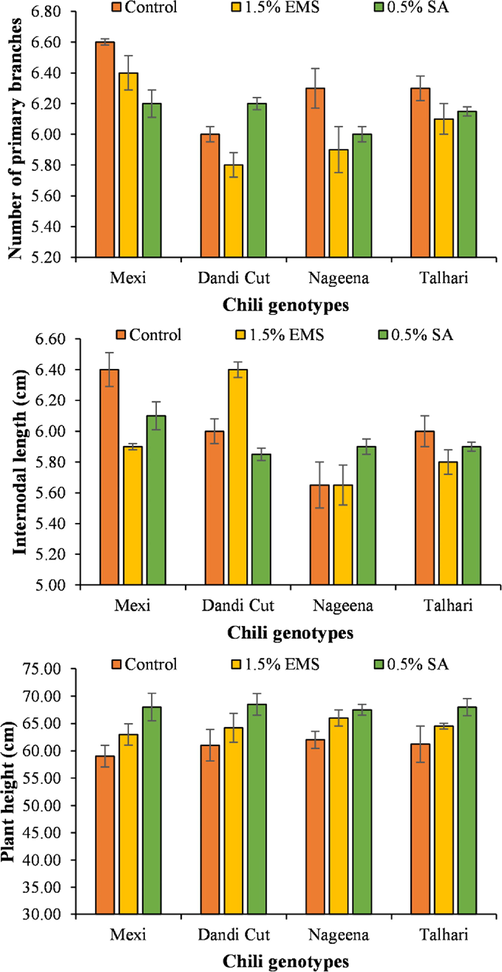 Number of primary branches, internode length and plant height of chili genotypes treated with SA and EMS.