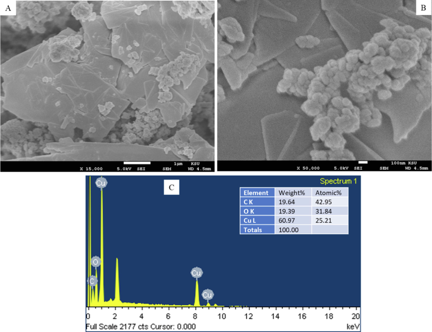 (A and B) FESEM micrographs and (C) elemental composition of CuO-rGO NCs analysed EDS. FESEM: Field emission scanning electron microscopy, CuO-rGO NCs: Copper oxide-reduced graphene oxide nanocomposites, and EDS: Energy dispersive X-ray spectroscopy.