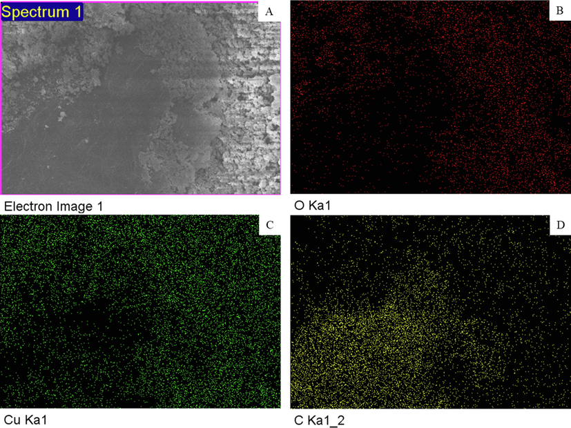 Elemental mapping of CuO-rGO NCs obtained by EDS associated with FESEM. CuO-rGO NCs: Copper oxide-reduced graphene oxide nanocomposites, EDS: Energy dispersive X-ray spectroscopy, and FESEM: Field emission scanning electron microscopy.