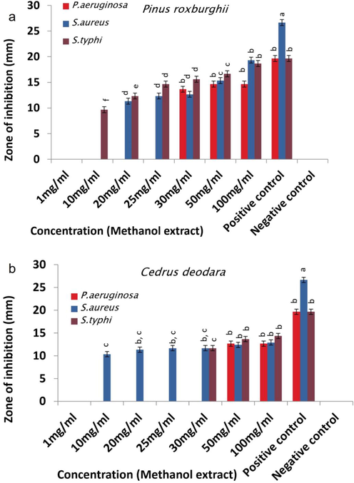 Antibacterial activity of (a) P. roxburghii and (b) C. deodara methanol extracts.