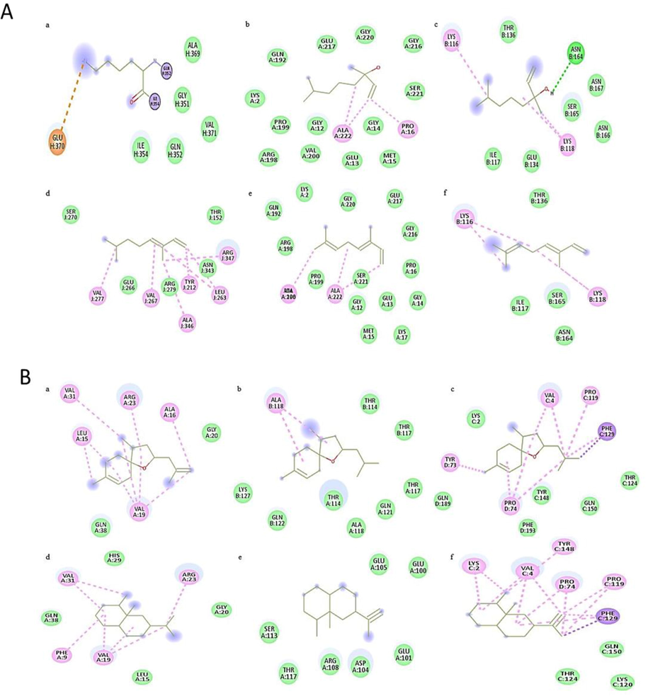 Docking analysis of bacterial proteases with A) monoterpenoids - Linalool (a, b, c), Ocimene (d, e, f) and B) sesquiterpenoids - Bisabolene (a, b, c), Valencene (d, e, f).