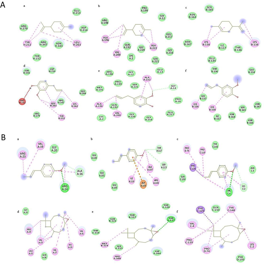 Docking analysis of bacterial proteases with A) Limolene (a, b, c) Eugenol (d, e, f) and B) Anethole (a, b, c), Caryophyllene (d, e, f).