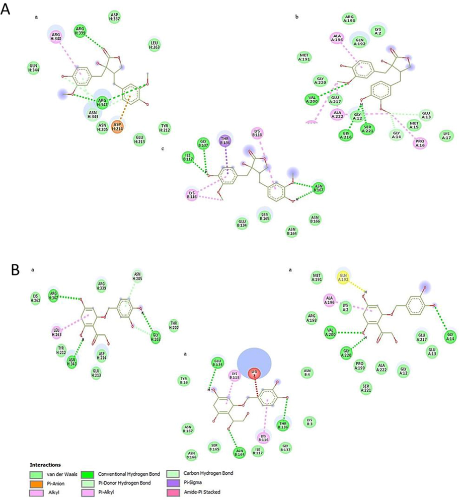 Docking analysis of bacterial proteases with A) Nortrachelogenin (a, b, c) and B) Taxifolin (a, b, c).