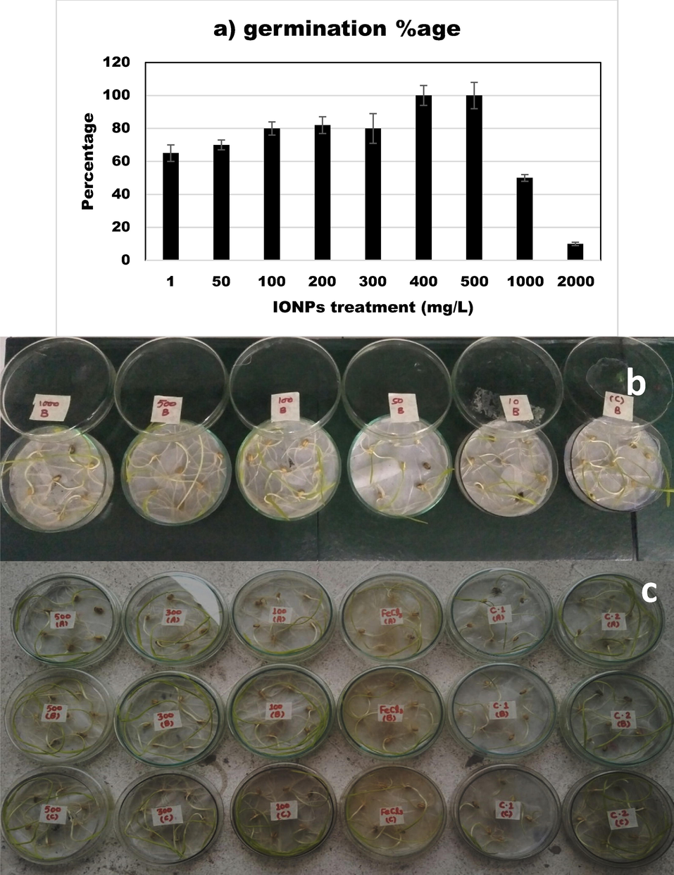 (a–c) Effect of iron nanoparticles and iron salt on germination percentage of wheat seedlings.