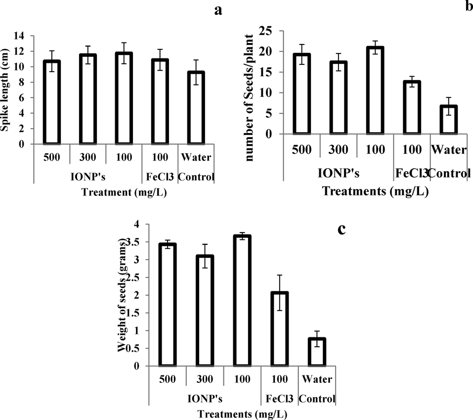 Effect of iron nanoparticles and iron salt on (a) spike length, (b) number of seeds, and (c) weight of seeds per plant of wheat grown in cadmium stress.