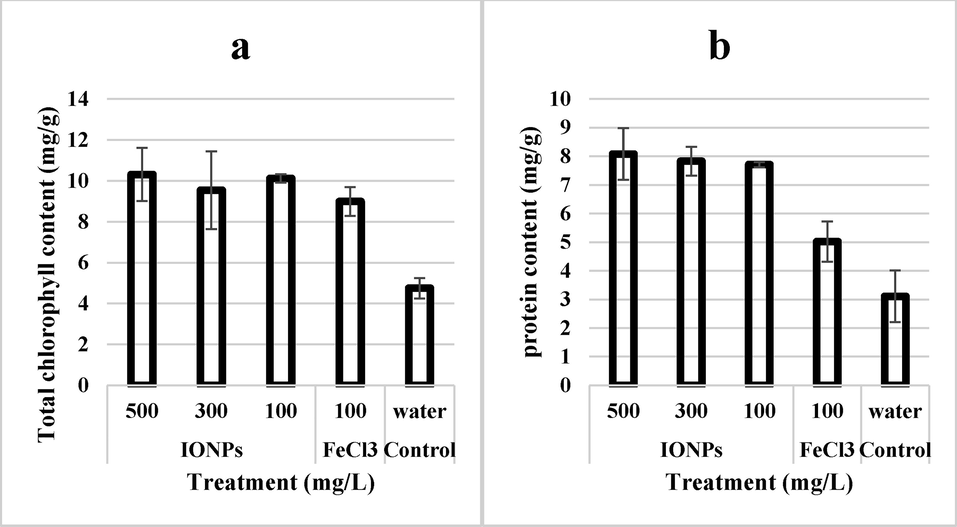 Effect of iron nanoparticles and iron salt on (a) total chlorophyll content and (b) protein content of wheat grown in cadmium stress.