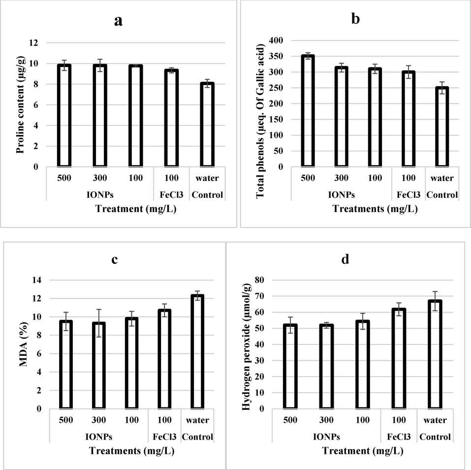 Effect of iron nanoparticles and iron salt on (a) proline content, (b) Phenolics, (c) MDA, and (d) hydrogen peroxide content of leaves from wheat grown in cadmium stress.