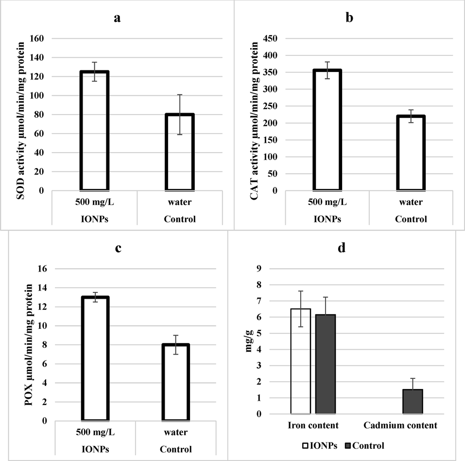 Effect of iron nanoparticles and iron salt treatment on antioxidant enzymes (a) superoxide dismutase, (b) catalase, (c) peroxidase and (d) cadmium and iron content of leaves from wheat grown in cadmium stress.