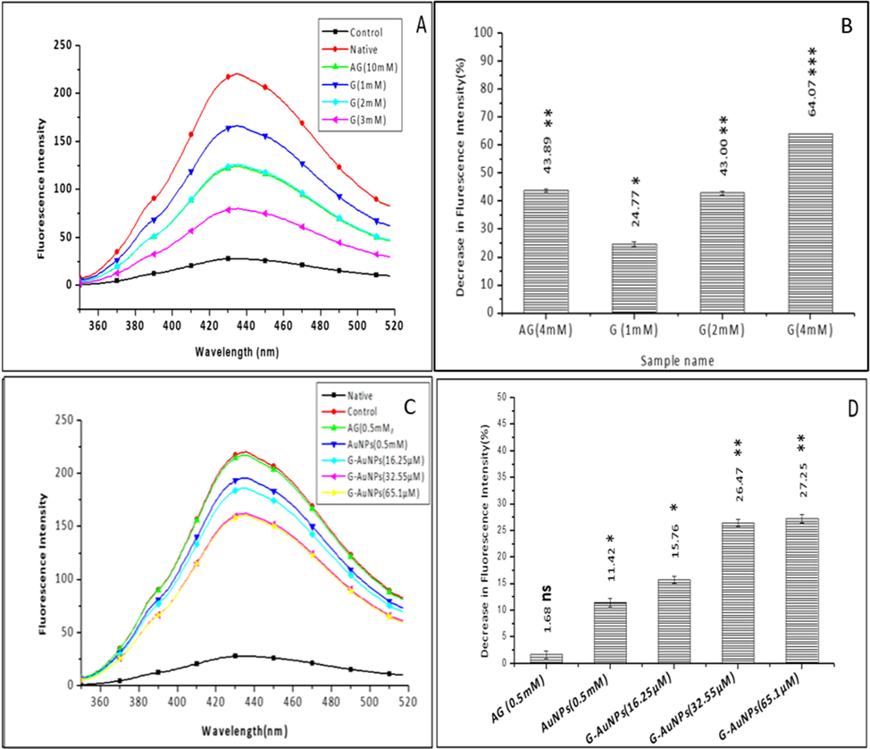 Fluorescence spectra of (A) unmodified BSA (native), glycated BSA (control) and samples treated with varying concentrations of G (B)The bar diagram represents the keto-amine contents of unmodified BSA (native), glycated BSA (control) and samples treated with varying concentrations of G (C) Fluorescence spectra of unmodified BSA (native), glycated BSA (control) and samples treated with varying concentrations of G-AuNPs, AG is used as a standard inhibitor. The spectra are the average of three determinations under identical experimental conditions (D) The bar diagram represents a percent decrease in fluorescence intensity of unmodified BSA (native), glycated BSA (control) and samples treated with varying concentrations of G-AuNPs the data represented are the mean ± SD of three determinations under identical experimental conditions. Significantly different from control at *** p < 0.001, significantly different from control at ** p < 0.01, non-significantly different from control at ns p > 0.05.