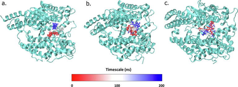 The conformational changes of each ligand which is control (a) phycocyanin (b), and phycocyanobilin (c) at 100 ns interval throughout the simulations.