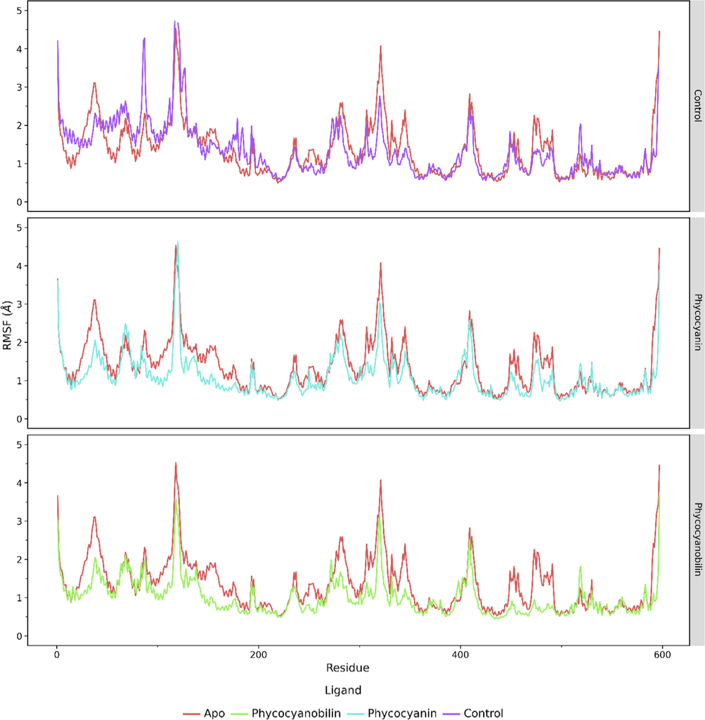 The RMSF analysis of the 597 amino acid residues of ACE2 receptor during the 200 ns simulation.