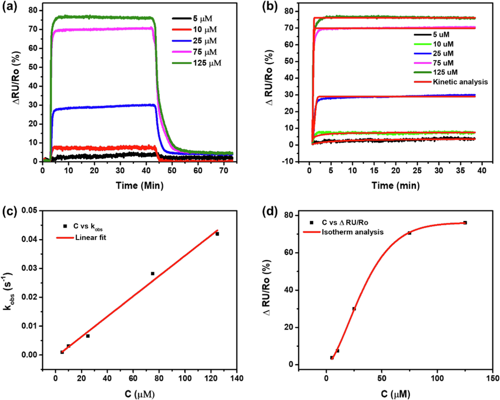 (a) The SPR dynamic response resulting from the interaction of ACE2 – CPC at a concentration of 5 – 125 μM, (b) kinetic adsorption analysis on each CPC association response by ACE2 with different concentrations to obtain the kobs values, and (c) the linear regression of C vs kobs to obtain the kon value, and (d) Non-linear regression curve of the BS isotherm adsorption model on the concentration effect to the dynamic response data.