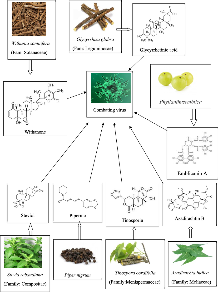 The phytochemical constituents with biological source used for the computational study.