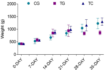 Graphical illustration of increase in weight of chickens from 0 day to 35th day. Increase in weight of birds due to intake of diet from day to 35th day was observed in control group chickens (CG) and commercial vaccine group chickens (TC) having normal diet, and transgenic group chickens (TG) having transgenic diet. The figures depict the average SD of three biological replicates. One-way ANOVA is used to determine the significance of the data, and p 0.0001 is denoted by “ ****” and p 0.001 is indicated by “***” above bars.